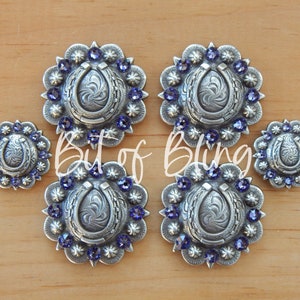 Tanzanite Antique Silver Horseshoe Berry Saddle Concho Set - Western Horse Tack
