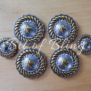 Antique Silver and Gold Round Rope Edge Horse Head Saddle Concho Set Crystal AB