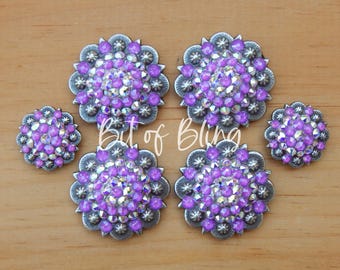 Electric Purple and Crystal AB Antique Silver Round Berry Saddle Concho Set Western Horse Tack