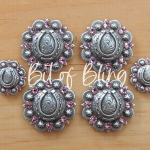 Antique Silver Horseshoe Berry Saddle Concho Set - Light Rose