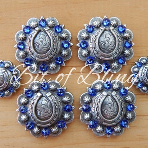 Antique Silver Round Berry Horseshoe Saddle Concho Set - Sapphire