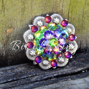 Pode incluir: Um concho de prata com um sortimento colorido de strass. Os strass s&atilde;o em tons de vermelho, verde, azul e roxo. O concho &eacute; um adorno popular para roupas e acess&oacute;rios ocidentais.