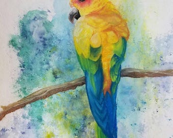 Papageien-Druck: Aquarell Kreide Pastellzeichnung (23x30)