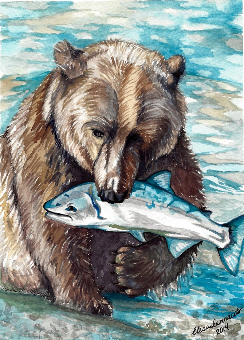 Akvarelltryck av grizzlybjörn med fisk "Fin fångst" bild 1