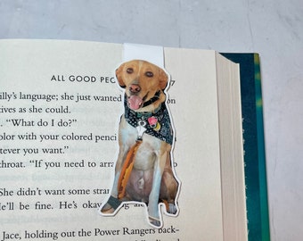 Personalized Pet Photo Bookmark | Custom Dog or Cat Magnetic Bookmark