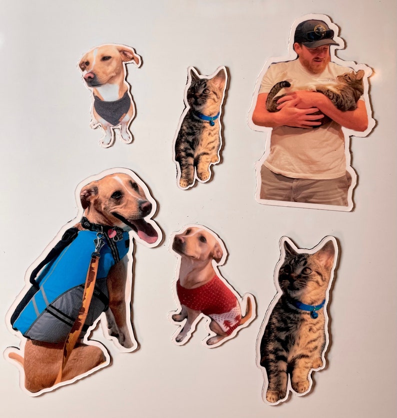 May include: A set of six magnets featuring images of dogs and cats. The magnets are printed on white cardstock and have a glossy finish. The images include a brown and white dog wearing a blue vest, a brown and white dog wearing a red sweater, a brown and white dog with a black collar, a brown and white cat wearing a blue collar, a brown and white cat wearing a blue collar, and a man holding a brown and white cat.