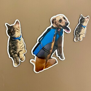 May include: Three magnets featuring a brown and white dog wearing a blue life vest, a brown and white tabby cat, and a gray and white tabby cat.