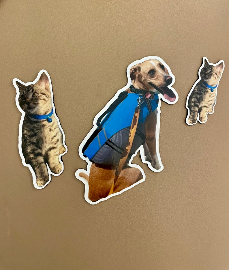 May include: Three magnets featuring a brown and white dog wearing a blue life vest, a brown and white tabby cat, and a gray and white tabby cat.