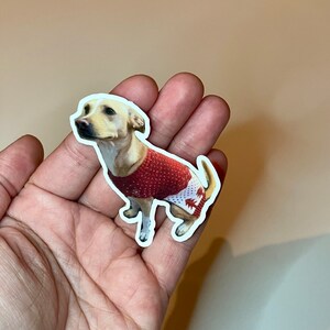 May include: A white dog wearing a red sweater with a white snowflake pattern. The dog is standing on a white background.
