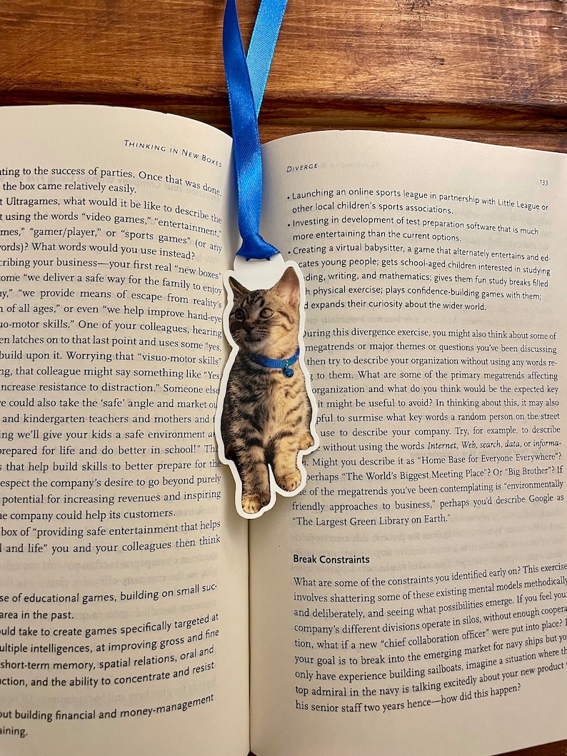 May include: A blue bookmark with a cat illustration. The bookmark is attached to a book with the text "Thinking in New Boxes" and "Diverge". The text on the bookmark reads "Thinking in New Boxes".