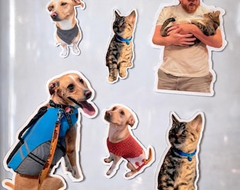 Custom Pet Photo Sticker or Magnet | Personalized Dog & Cat Gift