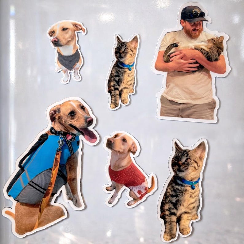 Custom Pet Photo Sticker or Magnet | Personalized Dog & Cat Gift image 1