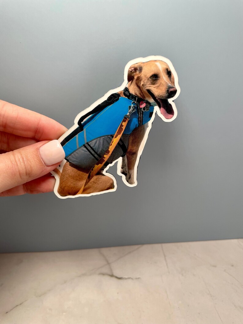 May include: A brown and white dog wearing a blue life vest. The dog is sitting and has its tongue sticking out.