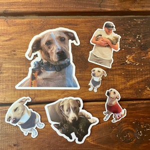 May include: A set of six dog stickers featuring various breeds, including a brown and white dog, a black and white dog, a white dog, and a brown dog. The stickers are on a wooden background.