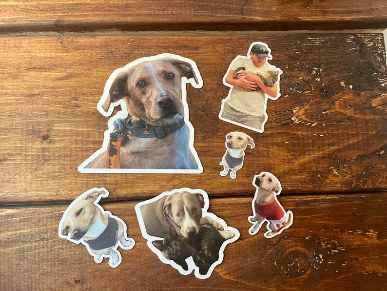 May include: A set of six dog stickers featuring various breeds, including a brown and white dog, a black and white dog, a white dog, and a brown dog. The stickers are on a wooden background.