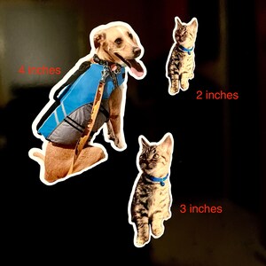 May include: Three pet portraits on a black background. A brown and white dog wearing a blue life vest is 4 inches tall. A tabby cat is 2 inches tall. Another tabby cat is 3 inches tall.
