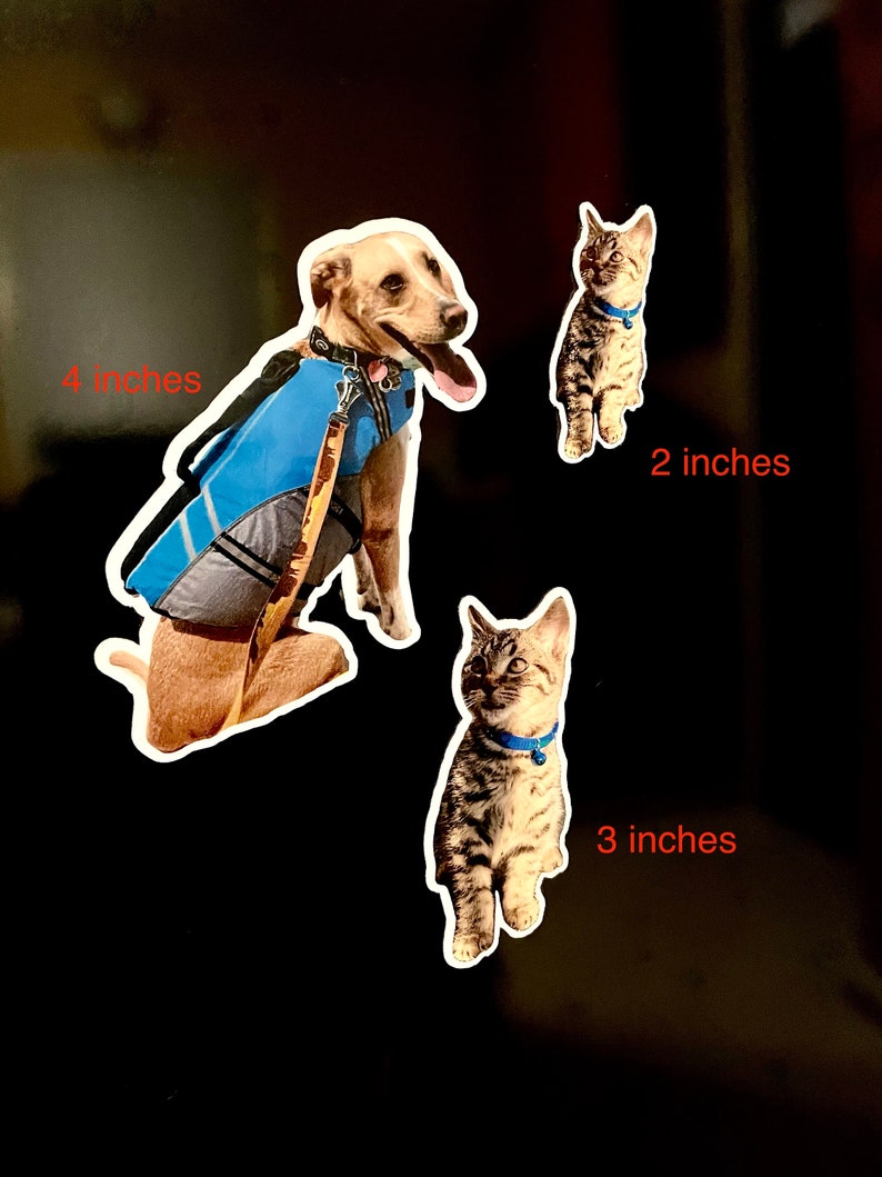 May include: Three pet portraits on a black background. A brown and white dog wearing a blue life vest is 4 inches tall. A tabby cat is 2 inches tall. Another tabby cat is 3 inches tall.