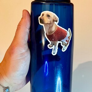 May include: A blue water bottle with a sticker of a dog wearing a red sweater. The bottle has the text "CamelBak" and "Eddy+&reg;" on it.