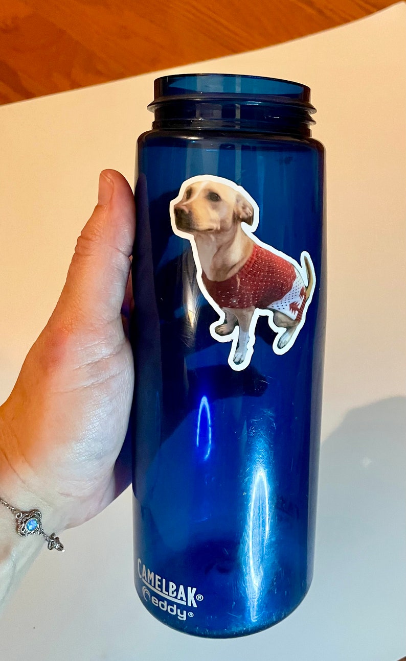 May include: A blue water bottle with a sticker of a dog wearing a red sweater. The bottle has the text "CamelBak" and "Eddy+&reg;" on it.