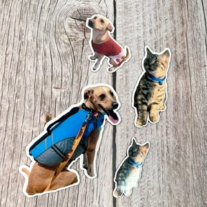 May include: Four stickers featuring a brown and white dog wearing a red sweater, a brown and white dog wearing a blue life vest, and two tabby cats. The stickers are on a wooden background.