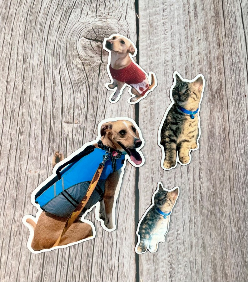 May include: Four stickers featuring a brown and white dog wearing a red sweater, a brown and white dog wearing a blue life vest, and two tabby cats. The stickers are on a wooden background.
