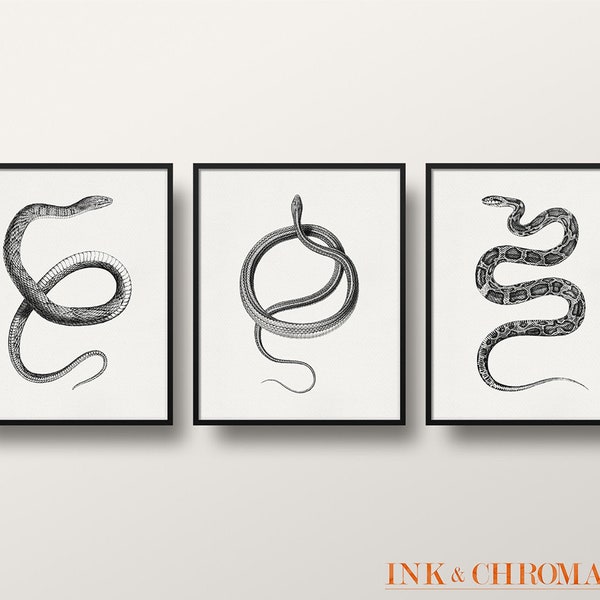 Serpent Print, Snake, Snake Print, Set of 3 Wall Art, Snake Poster, 8x10 print, 5x7 print, Three Piece Wall Art, Bedroom / Office Decor