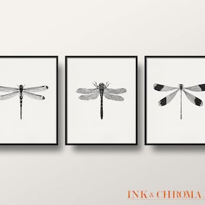 May include: Set of three black and white framed prints featuring vintage illustrations of dragonflies.