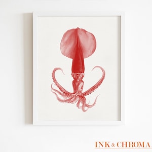 Red Squid Vintage Illustration Print: Coastal Wall Art (8x10)
