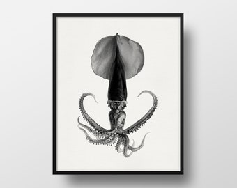 Elegant Black Squid Wall Art Print - Perfect for Living Room, Office or Bedroom Decor - 8x10 / 8x8 / 5x7 Marine Print