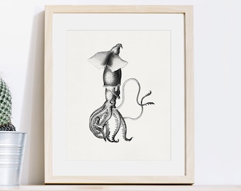 Tintenfisch Druck: Vintage Meerestier Kunst