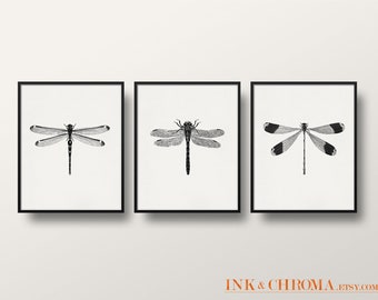 Dragonfly / Damselfly Print Set, Set of 3 Wall Art, Insect Print, Wildlife Art, 3 Dragonflies, Bug Wall Art, 8x8 / 8x10 Print / 5x7 Print