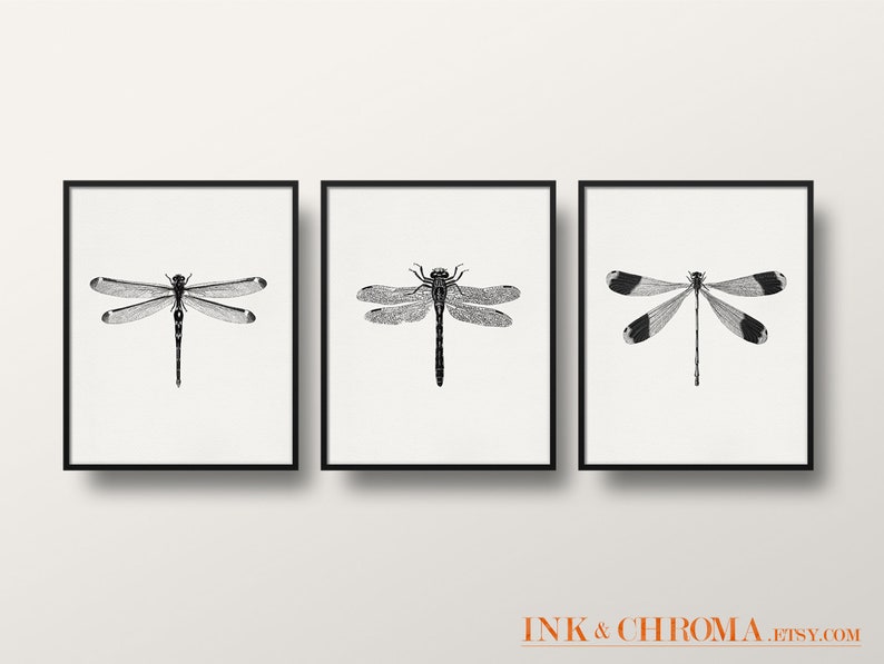 May include: Set of three black and white framed prints featuring vintage illustrations of dragonflies.