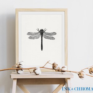 May include: A black and white illustration of a dragonfly with detailed wings, printed on white paper and framed in a light wood frame.
