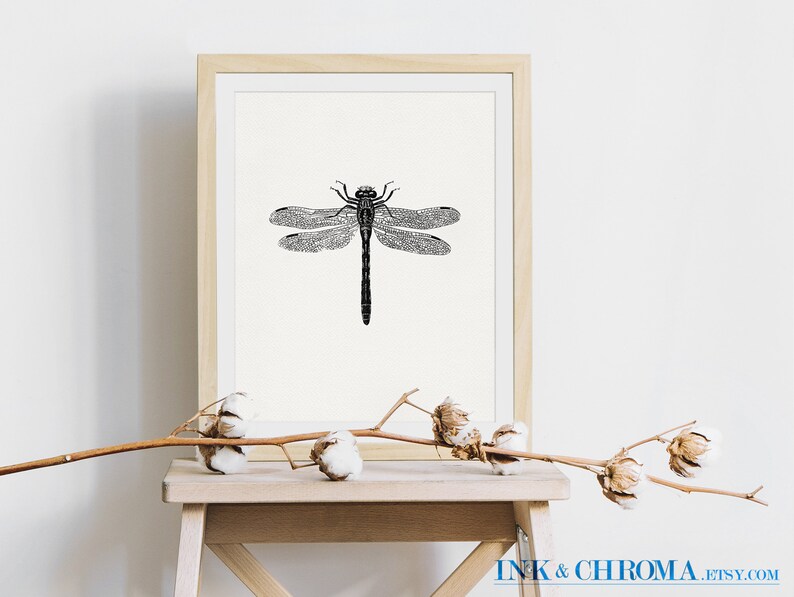 May include: A black and white illustration of a dragonfly with detailed wings, printed on white paper and framed in a light wood frame.