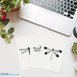 May include: Three black and white printable illustrations of dragonflies on white card stock. The dragonflies are in various poses with detailed wings.