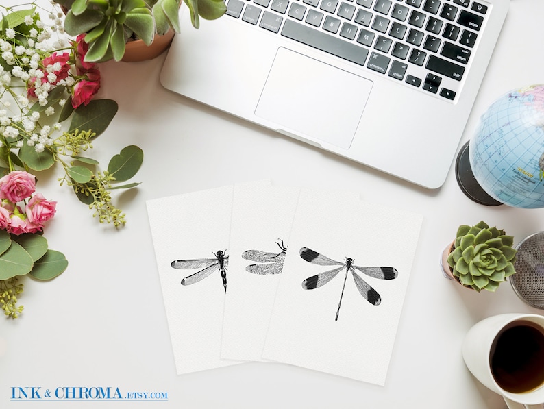 May include: Three black and white printable illustrations of dragonflies on white card stock. The dragonflies are in various poses with detailed wings.