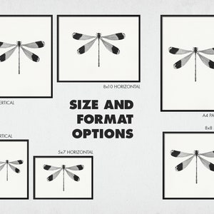 May include: A black and white illustration of a dragonfly in various sizes and formats, including 8x10 vertical, 5x7 vertical, 8x10 horizontal, 5x7 horizontal, A4 paper size, and 8x8 square.
