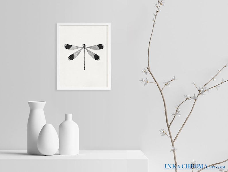 May include: A black and white illustration of a dragonfly in a white frame, with two white vases and a branch with white flowers on a white surface.