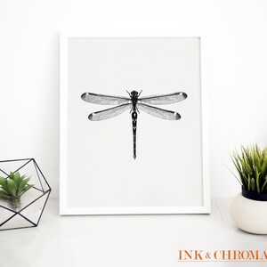 May include: Black and white illustration of a dragonfly with detailed wings, printed on a white background and framed in a white frame.