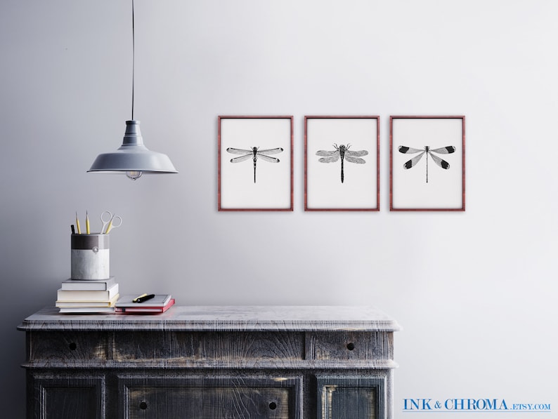May include: Three framed black and white dragonfly illustrations with a rustic wooden dresser and a gray pendant light in the background.