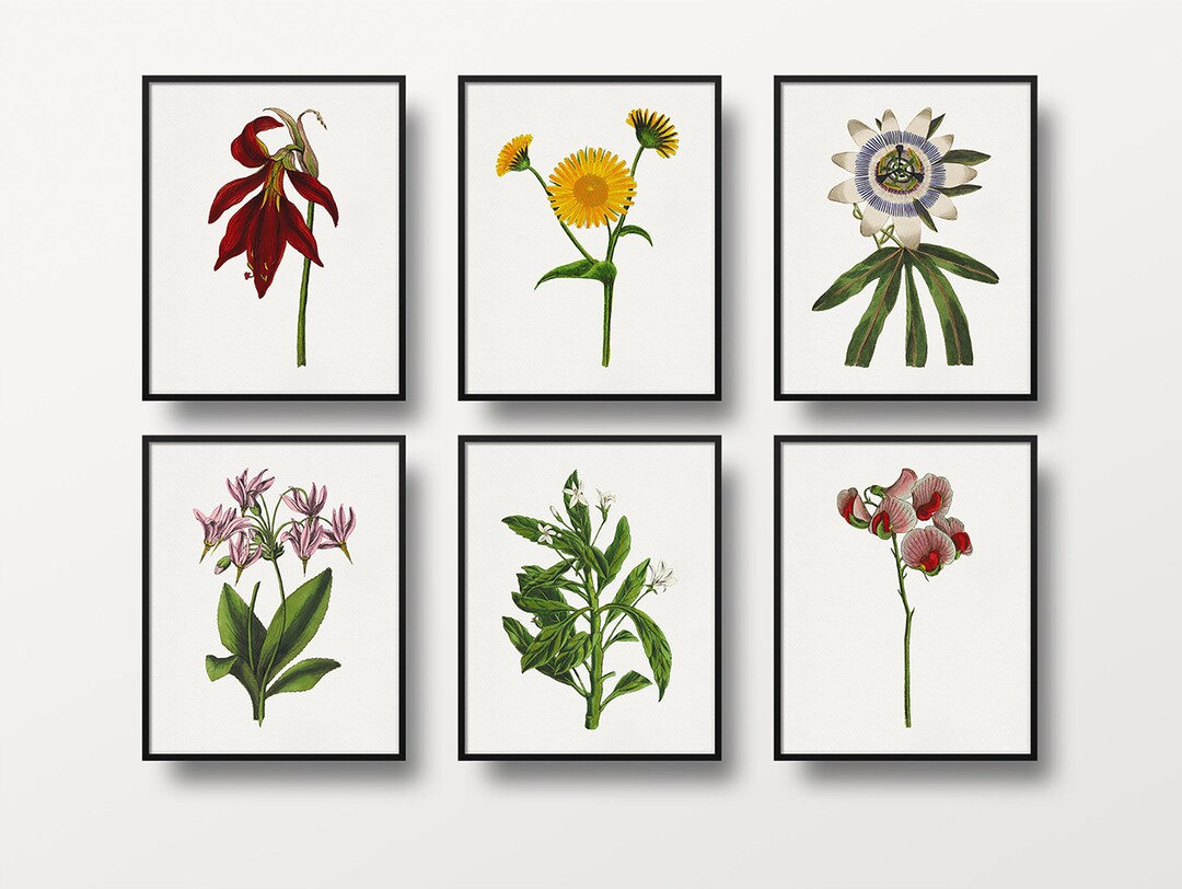 Flower Print, Set of 6, Flower Wall Art, Floral Print Set, Flower