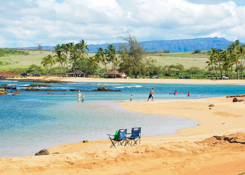 Hawaii Island Art. Ccean Playtime Quiet Beach Tropical Etsy