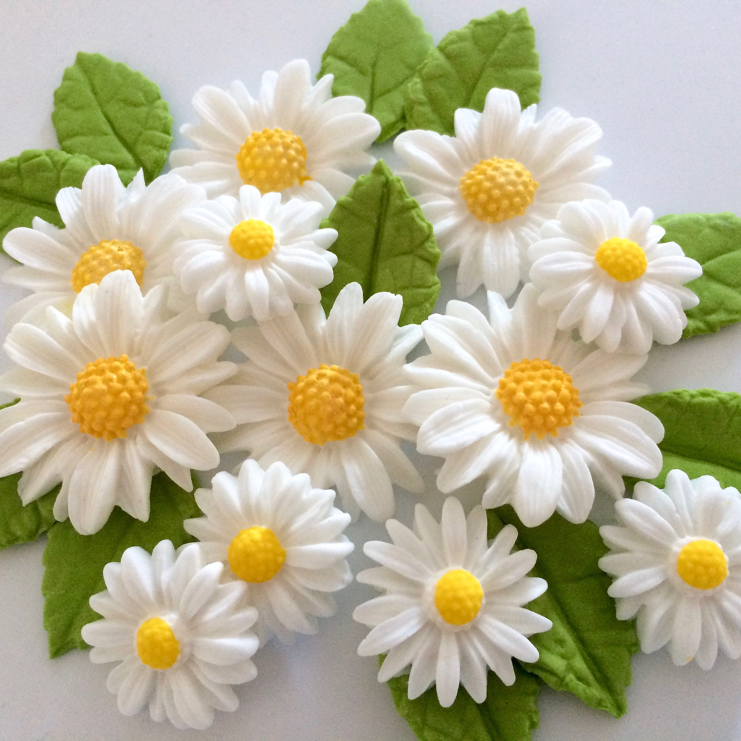 white daisies edible sugar