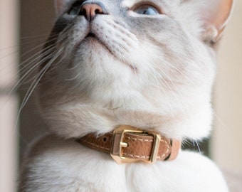 Kattenhalsband Breakaway, lederen kattenhalsband, kattengeschenken, kleine halsband, handgemaakte sieraden, paascadeau