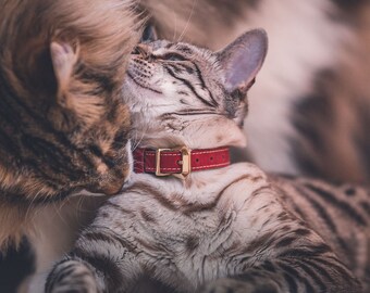 Collier pour chat, Collier échappé chat, Collier chat en cuir, Boucle de sécurité, Collier chat échappé, Accessoires pour animaux de compagnie, Bijoux faits main, Cadeau de Pâques