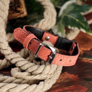 Cat Collar Pink, Breakaway Cat Collar, Leather Cat Collar, Soft Cat Collar, Peach Cat Collar
