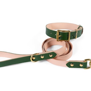 Personalized Leather Dog Collar & Leash Set with Solid Brass Hardware | Custom Pet Collar in Multiple Colors