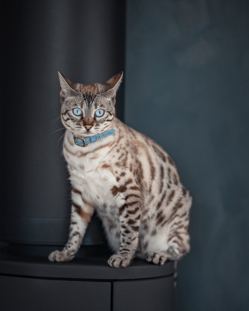 Cat Breakaway Collar Safety Clasp Breakaway Cat Collar Etsy