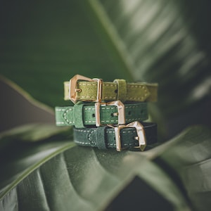 May include: Three stacked suede straps in varying shades of green, ranging from light olive to dark forest green. Each strap features white contrast stitching along the edges and a polished gold-tone metal buckle with a geometric frame design.
