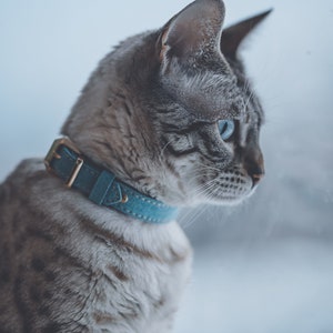 May include: A cat with light brown and dark brown spotted fur wearing a blue suede collar with a gold-toned metal buckle. The cat is shown in profile, facing to the right, with bright blue eyes and visible whiskers against a soft, muted background.